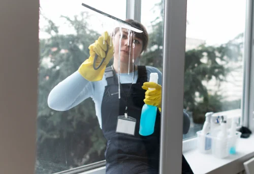 Nettoyage de vitres intérieures et extérieures à Chapelle-d'Huin